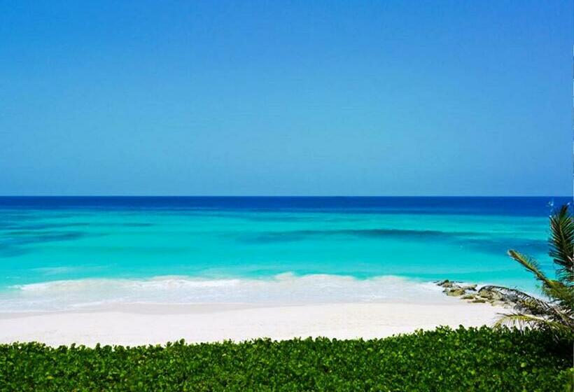 سوییت جونیور با چشم‌انداز دریا, Turtle Beach By Elegant Hotels   All Inclusive