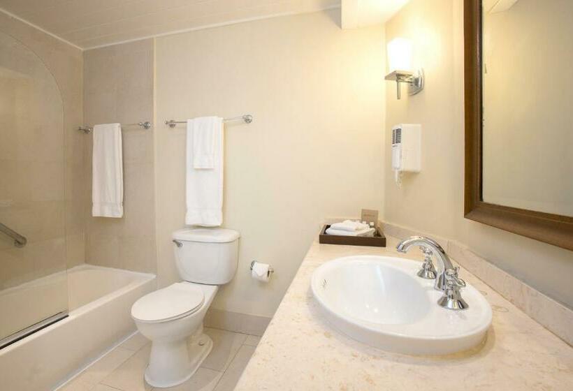 سوییت جونیور با چشمانداز دریا, Turtle Beach By Elegant Hotels All Inclusive