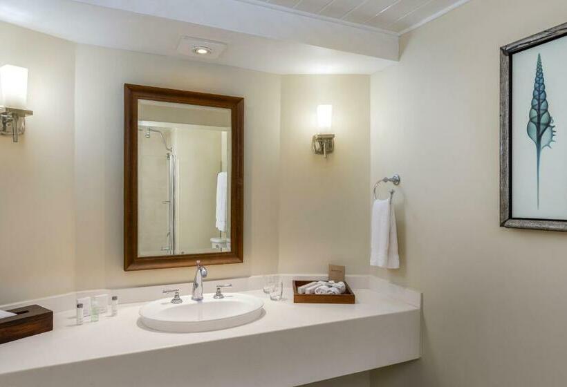 سوییت با چشم‌انداز دریا, Turtle Beach By Elegant Hotels   All Inclusive