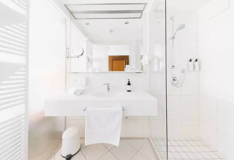 レイクビューデラックスルーム, Seehotel Dr. Jilly