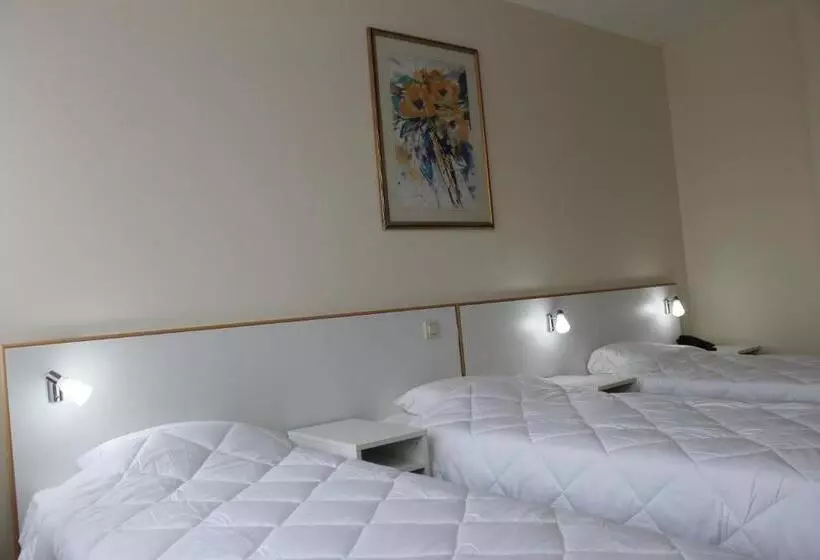 اتاق استاندارد سه نفره, Slina Hotel Brussels