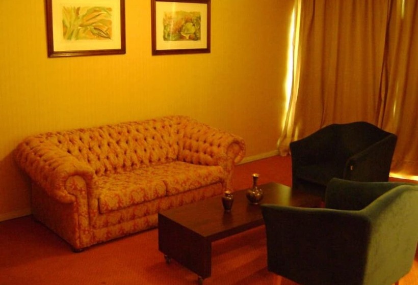 豪华单人间, Phenícia Bittar