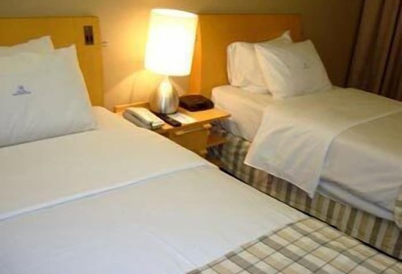 豪华单人间, Phenícia Bittar