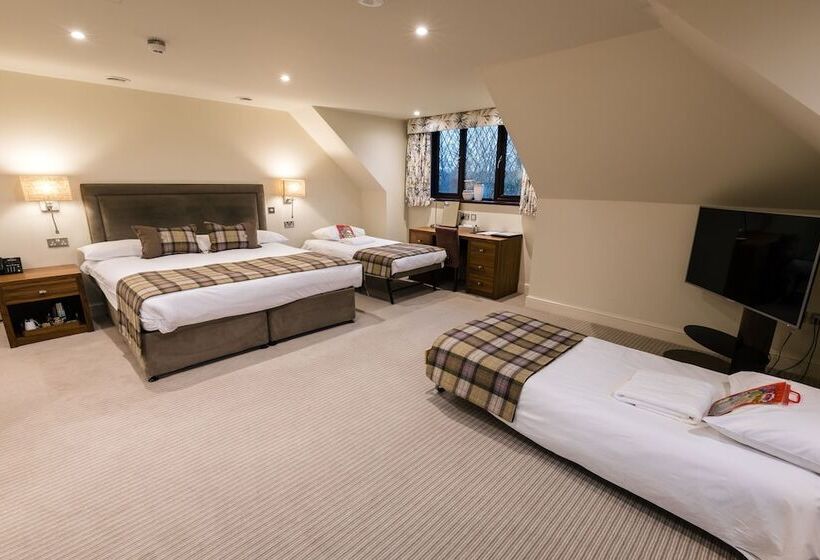 ファミリールーム, Stirrups