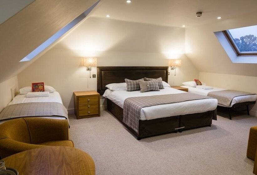 ファミリールーム, Stirrups