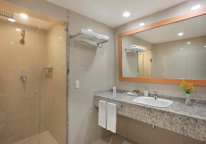 غرفة ديلوكس, Windsor Leme