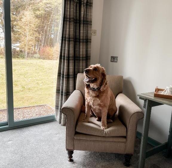 Стандартный Номер Кровать Кинг, Forss House