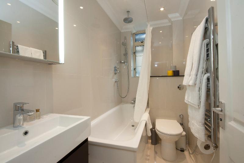 Апартаменты 1 Спальня, Fountain House