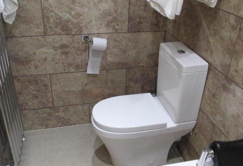 Номер Deluxe Одноместный, The Harboro