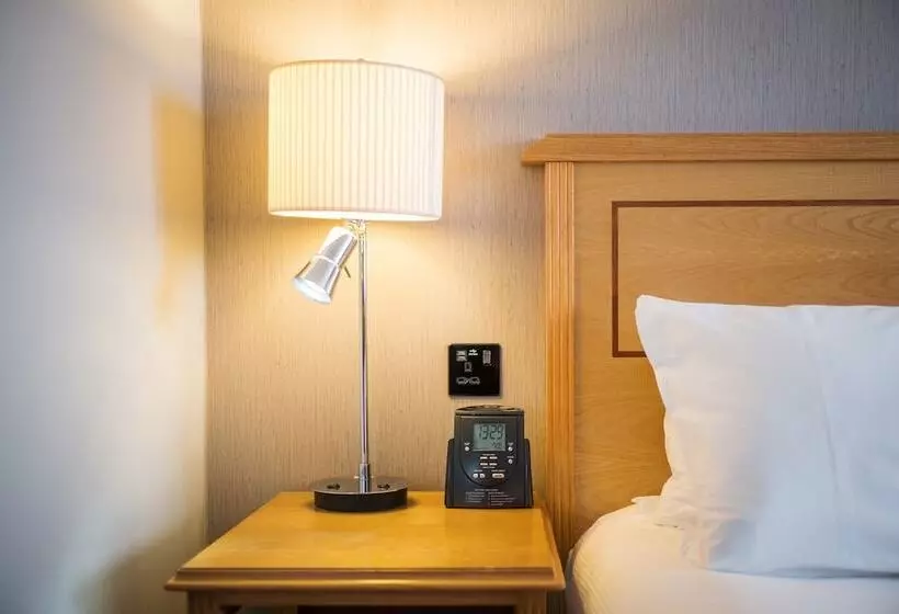 Deluxe-huone, Doubletree By Hilton Swindon