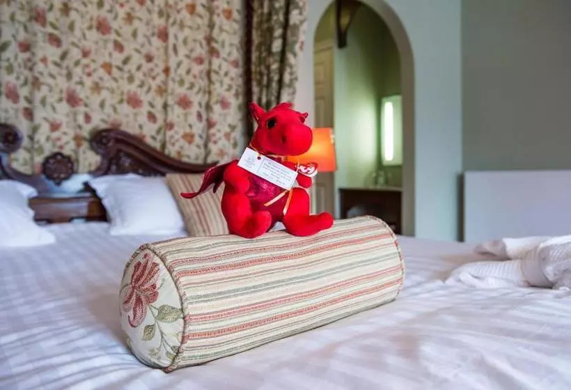 Premium-huone Järvinäkymä, Lake Vyrnwy Hotel & Spa