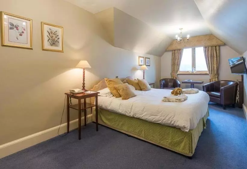 Standard-huone Järvinäkymä, Lake Vyrnwy Hotel & Spa