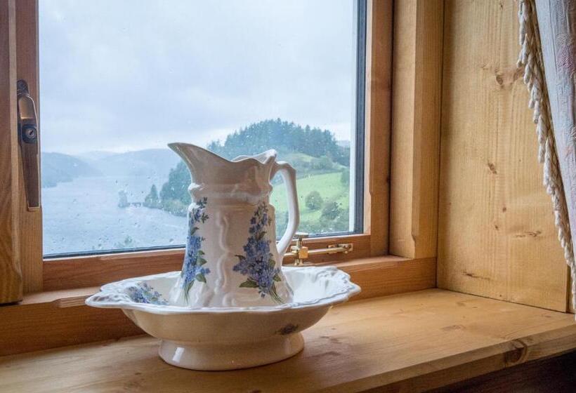 חדר סטנדרט נוף לאגם, Lake Vyrnwy Hotel & Spa