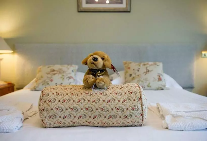 Premium-huone Järvinäkymä, Lake Vyrnwy Hotel & Spa