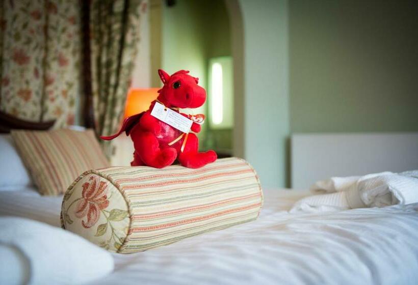Номер Премиум Вид на Озеро, Lake Vyrnwy Hotel & Spa