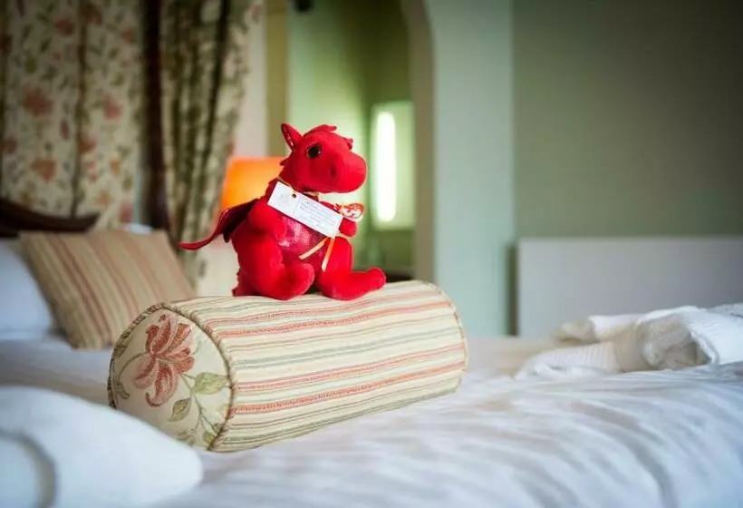 Premium-huone Järvinäkymä, Lake Vyrnwy Hotel & Spa