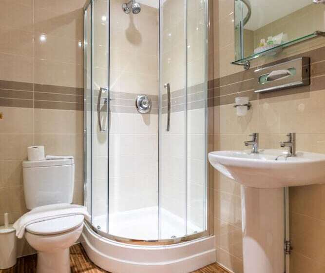 标准单人间, Swan Revived