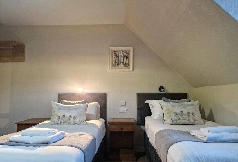 标准间, West Highland