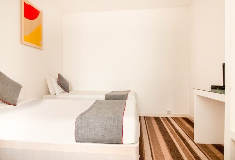 수피리어 패밀리 룸, Wynford