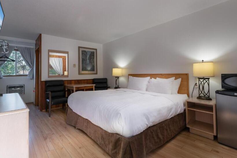 带大床的标准间, Cedar Motel