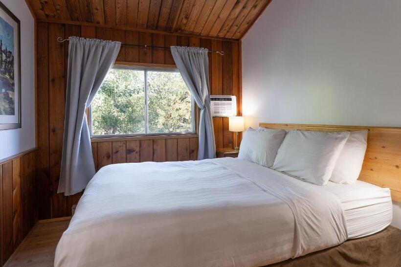 Номер Стандарт, Cedar Motel
