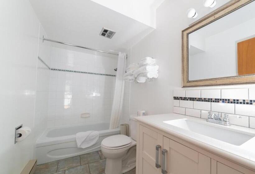 豪华房间, Cedar Motel