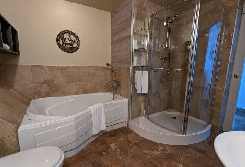 חדר דלוקס, Auberge Des 21