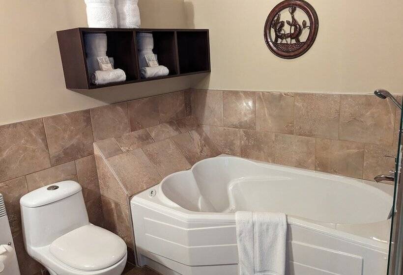 חדר דלוקס, Auberge Des 21