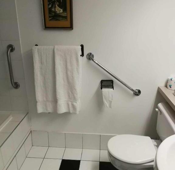 身障者適用キングサイズベッドルーム, Auberge La Camarine