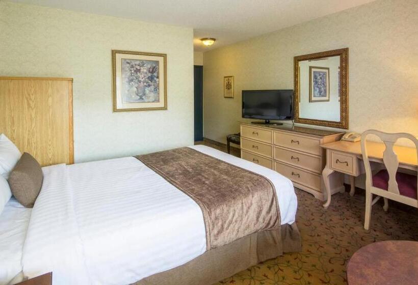 스탠다드 룸, Auberge Québec