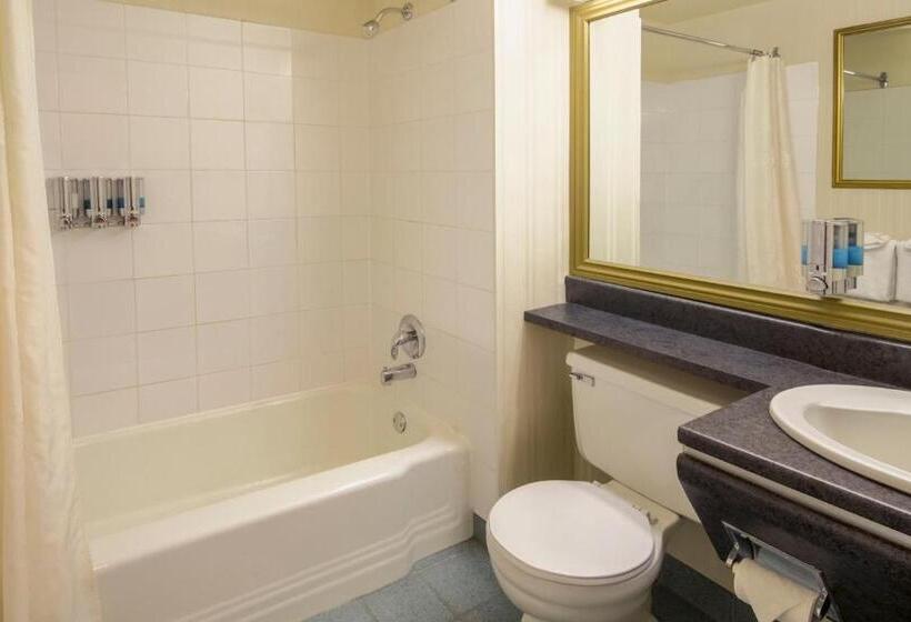 غرفه قياسيه سريرين مزدوجين, Auberge Québec