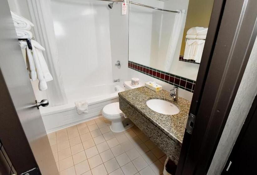 デラックスルーム, Canad Inns Destination Centre Windsor Park