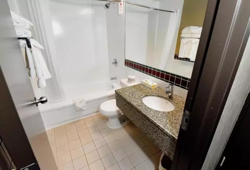 اتاق استاندارد با تخت بزرگ, Canad Inns Destination Centre Windsor Park