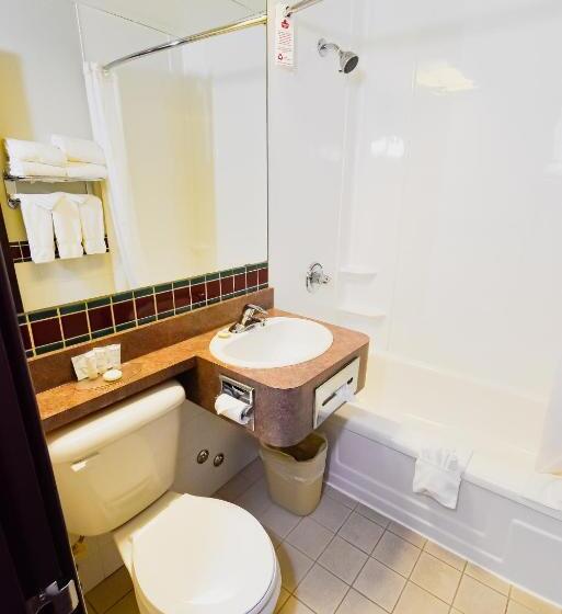 キングサイズベッドのスタンダードルーム, Canad Inns Destination Centre Windsor Park
