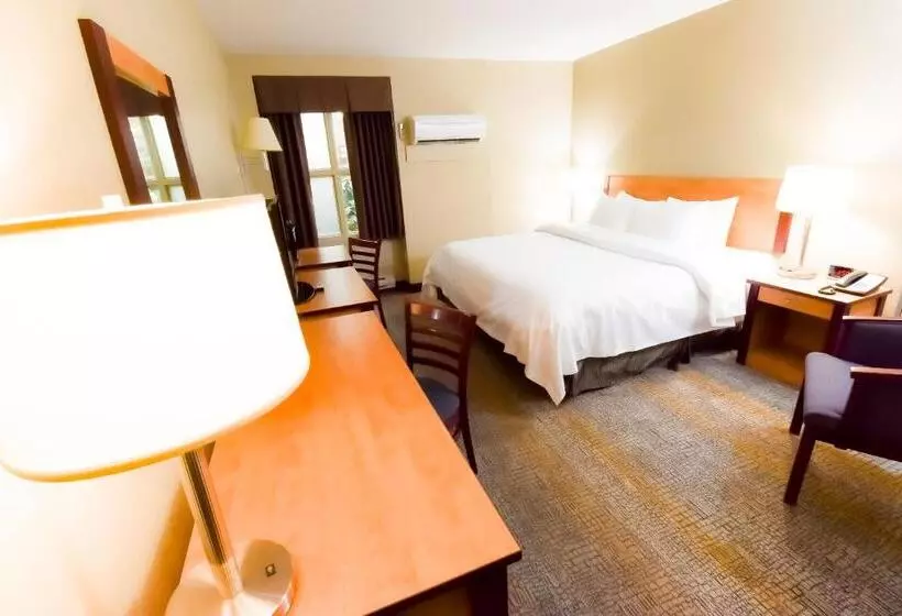 اتاق استاندارد با تخت بزرگ, Canad Inns Destination Centre Windsor Park