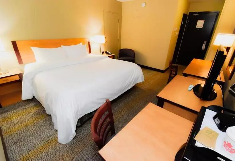 اتاق استاندارد با تخت بزرگ, Canad Inns Destination Centre Windsor Park