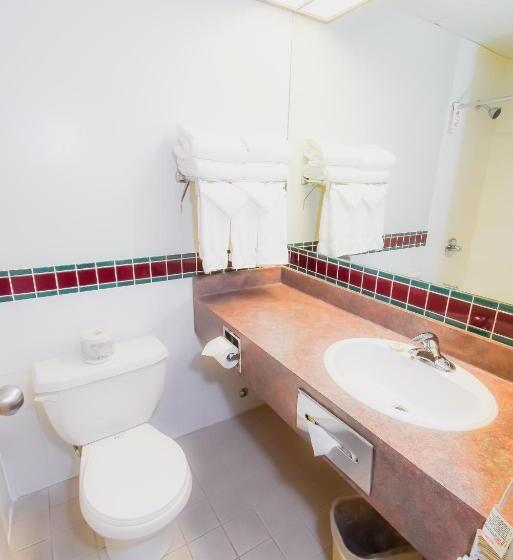 غرفة سوبيريور, Canad Inns Destination Centre Windsor Park