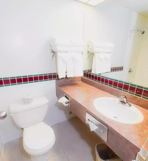 اتاق سوپریور, Canad Inns Destination Centre Windsor Park
