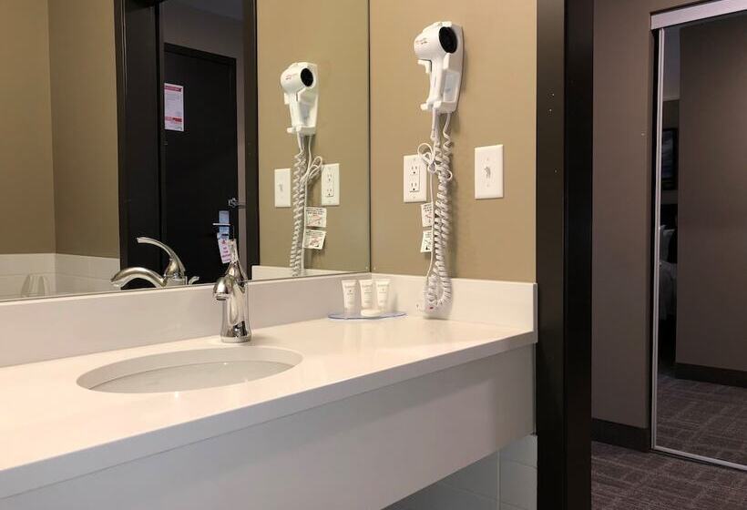 غرفة ديلوكس, Canad Inns Destination Centre Windsor Park