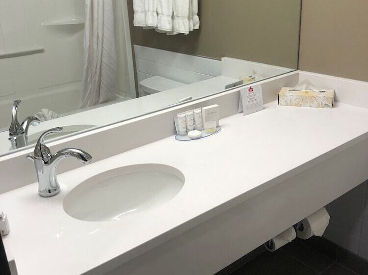 デラックスルーム, Canad Inns Destination Centre Windsor Park