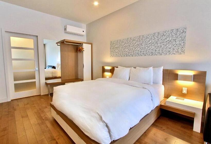 غرفة كومفورت, Le Navigateur