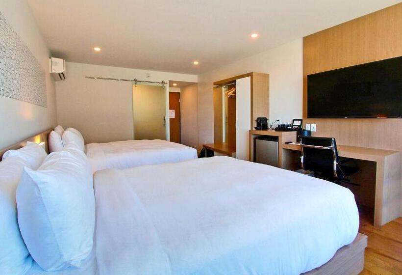 غرفة كومفورت, Le Navigateur