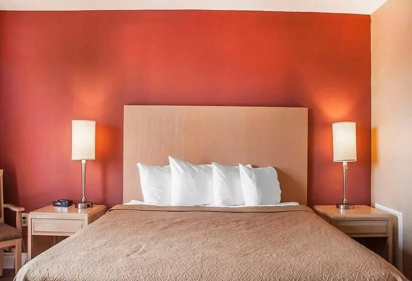 اتاق استاندارد با تخت بزرگ, Quality Hotel Fallsview Cascade