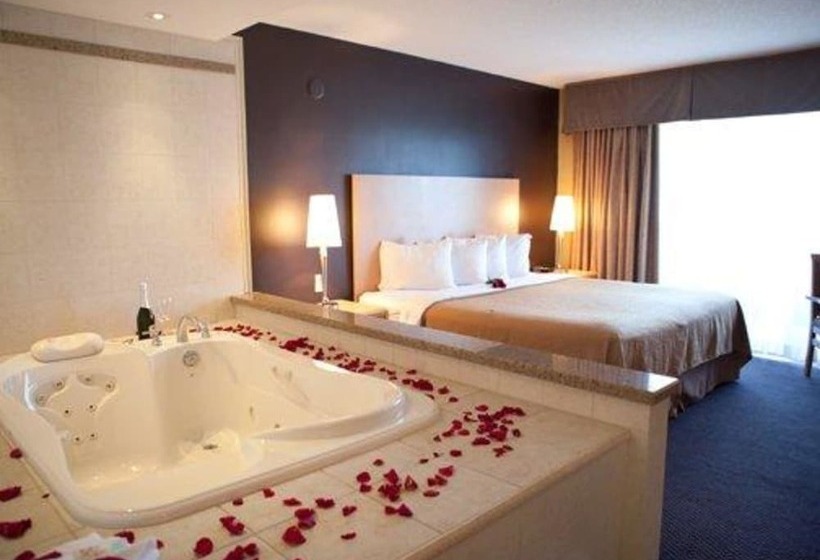 חדר סטנדרט עם מיטת קינג, Quality Hotel Fallsview Cascade