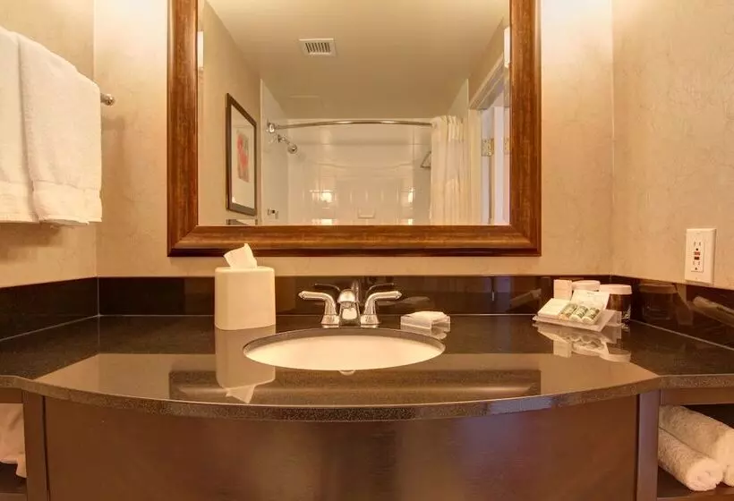 اتاق استاندارد, Hilton Garden Inn Calgary Airport