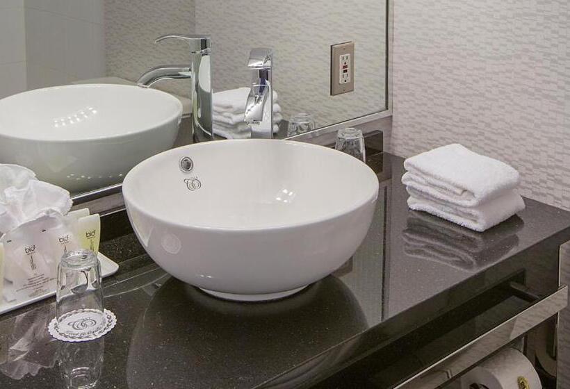 キングサイズベッドのデラックススイート, Hôtel Le Cantlie Suites