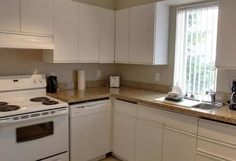 سوئیت دلوکس 2 خوابه, Rosellen Suites At Stanley Park