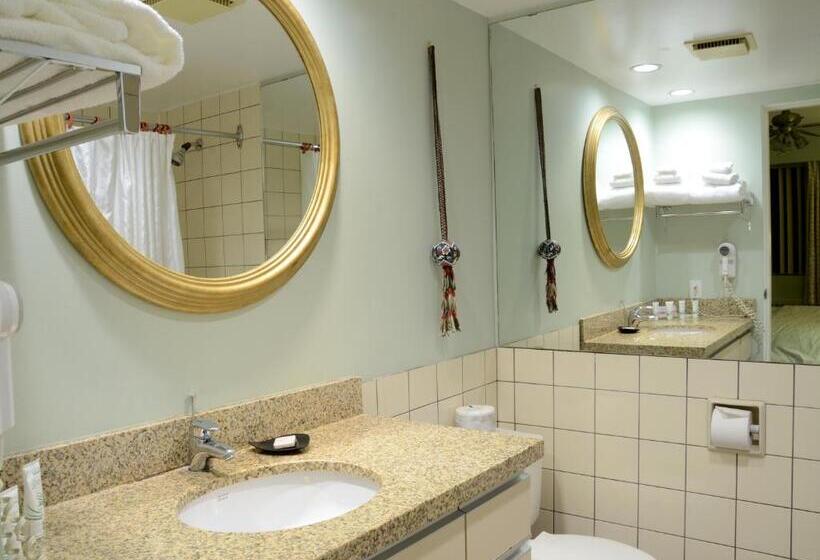 豪华两卧套房, Rosellen Suites At Stanley Park