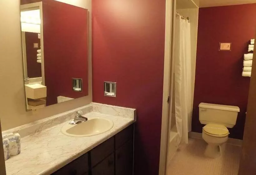 اتاق استاندارد با 2 تخت دوبل, Ivy Rose Motor Inn