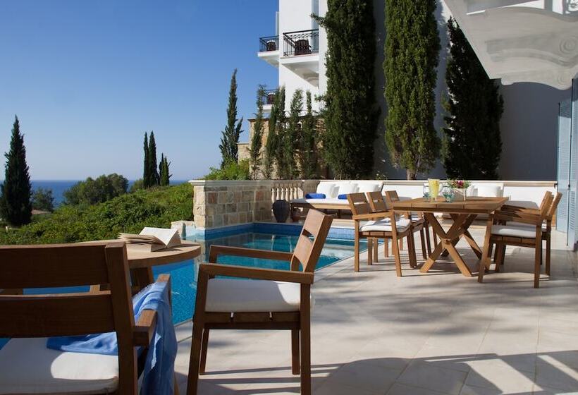 וילת 3 חדרי שינה עם בריכה, Anassa